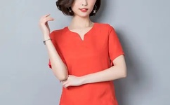 苏映雪苏雨柔小说